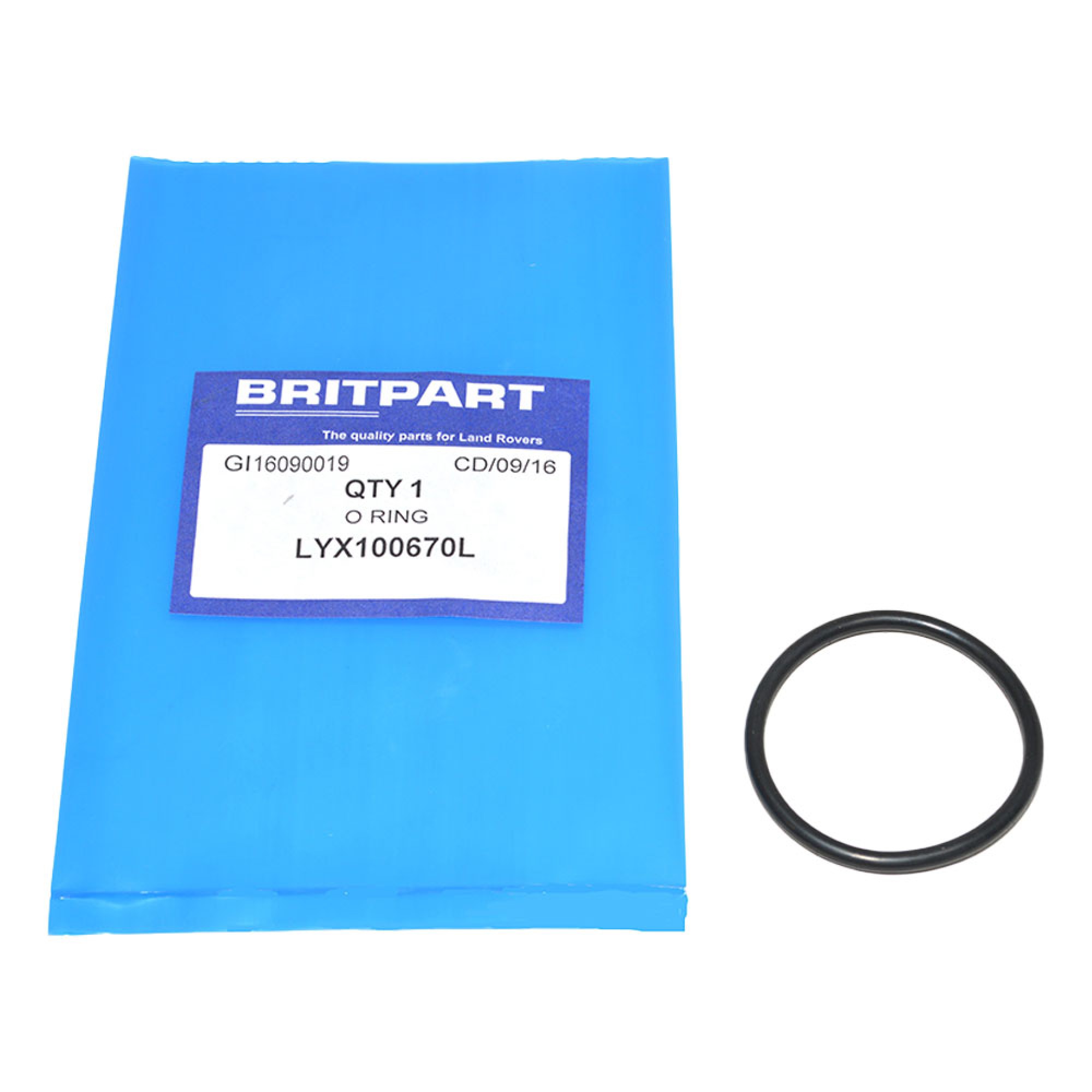 LYX100670L - O Ring Vacuum Pump TD4