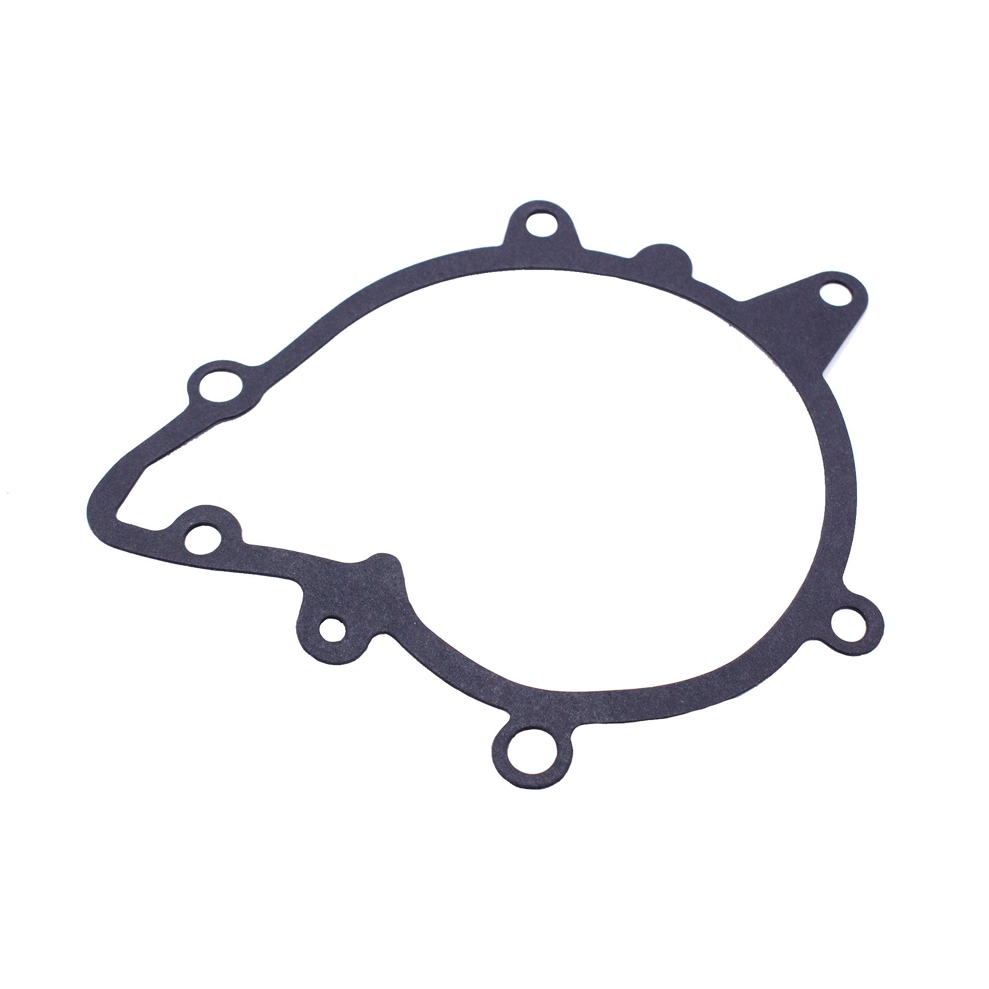 PET000050 - Gasket Water Pump 4.4 V8 Petrol