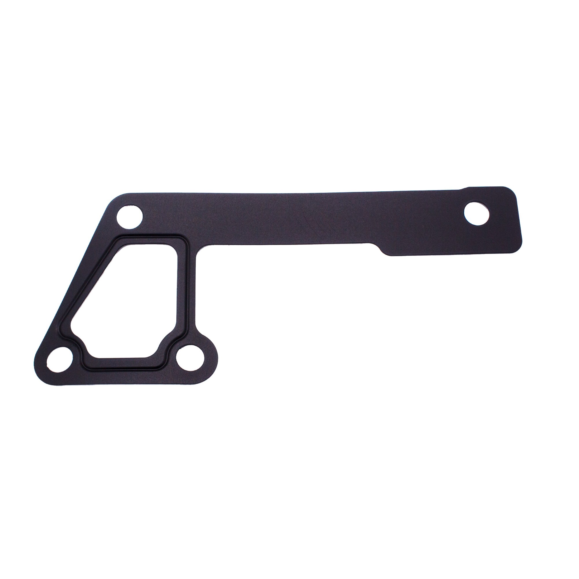 PET100790 - Gasket Distance Piece to Block Water Pump 300TDI