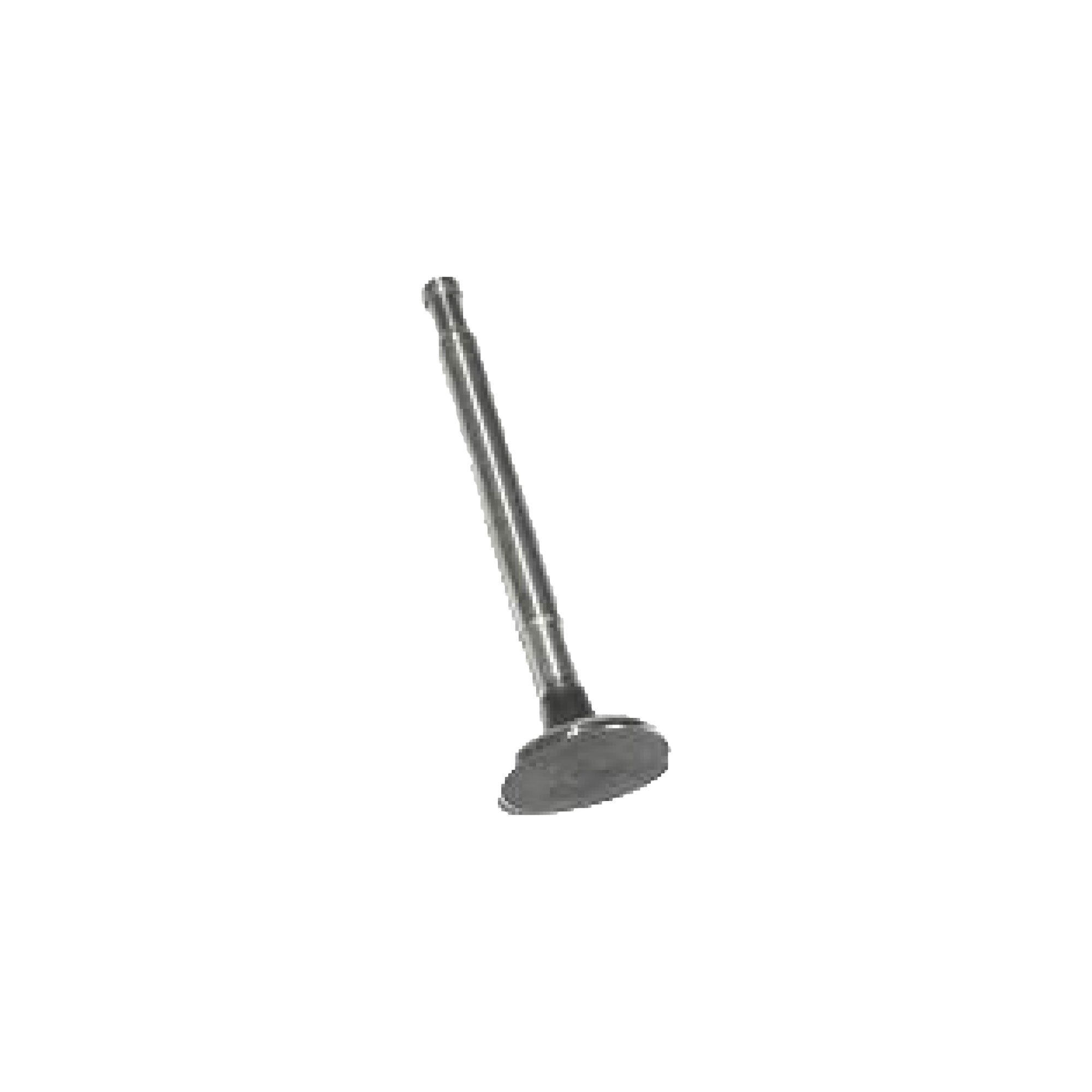 602165 - Exhaust Valve V8 8.25 Comp Ratio