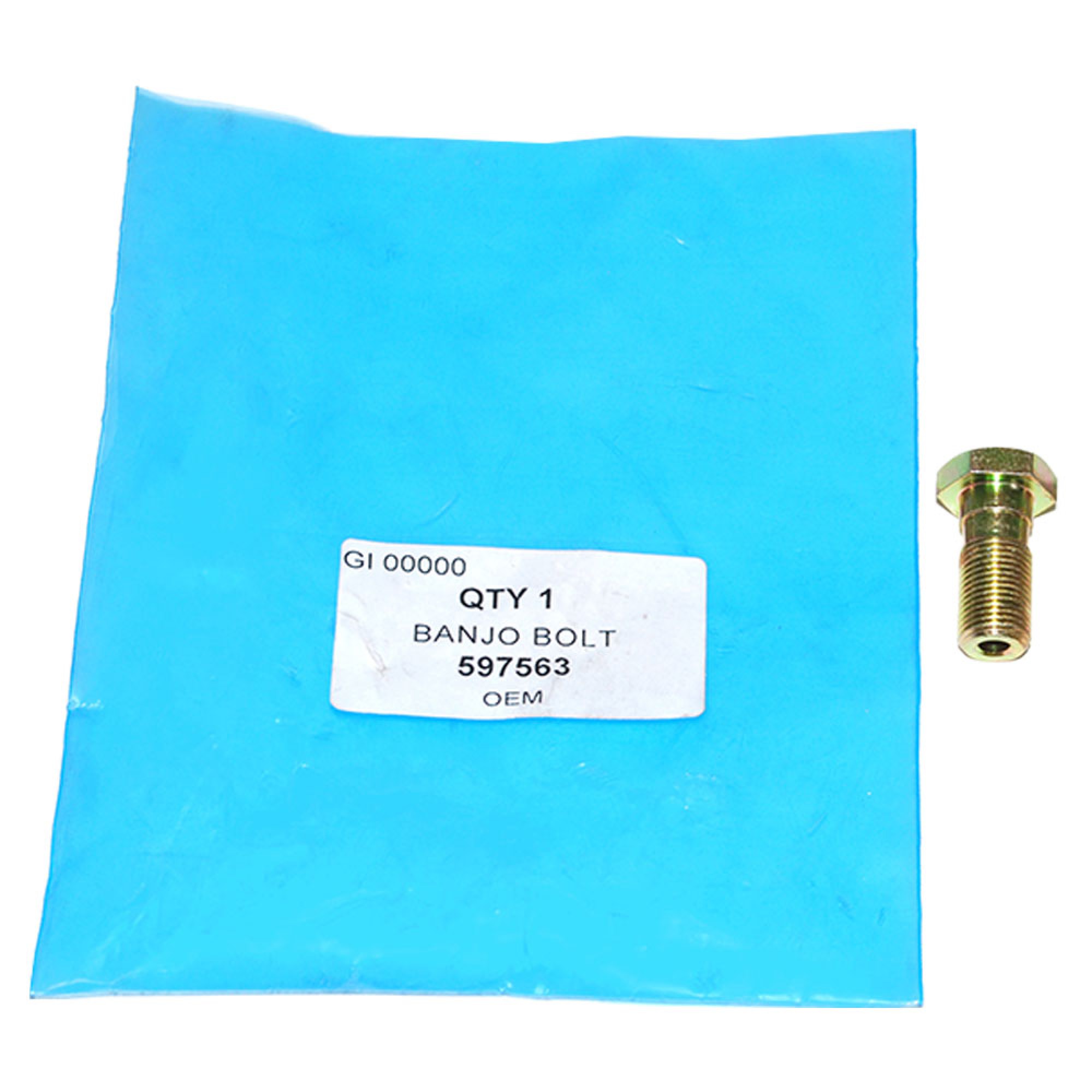 597563 - Banjo Bolt Oil Pipe to Head.