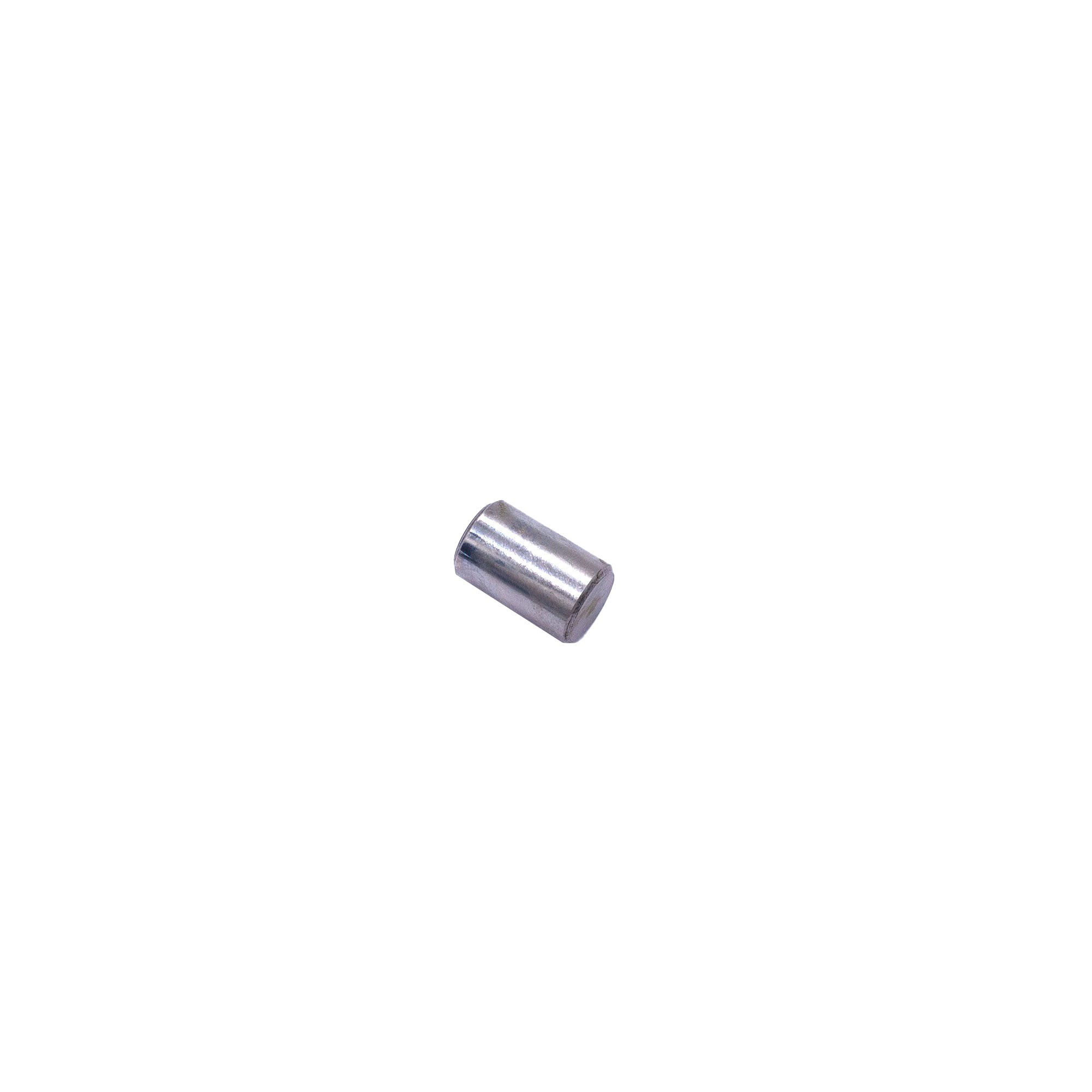 58397 - Genuine Roller Large for Freewheel Member