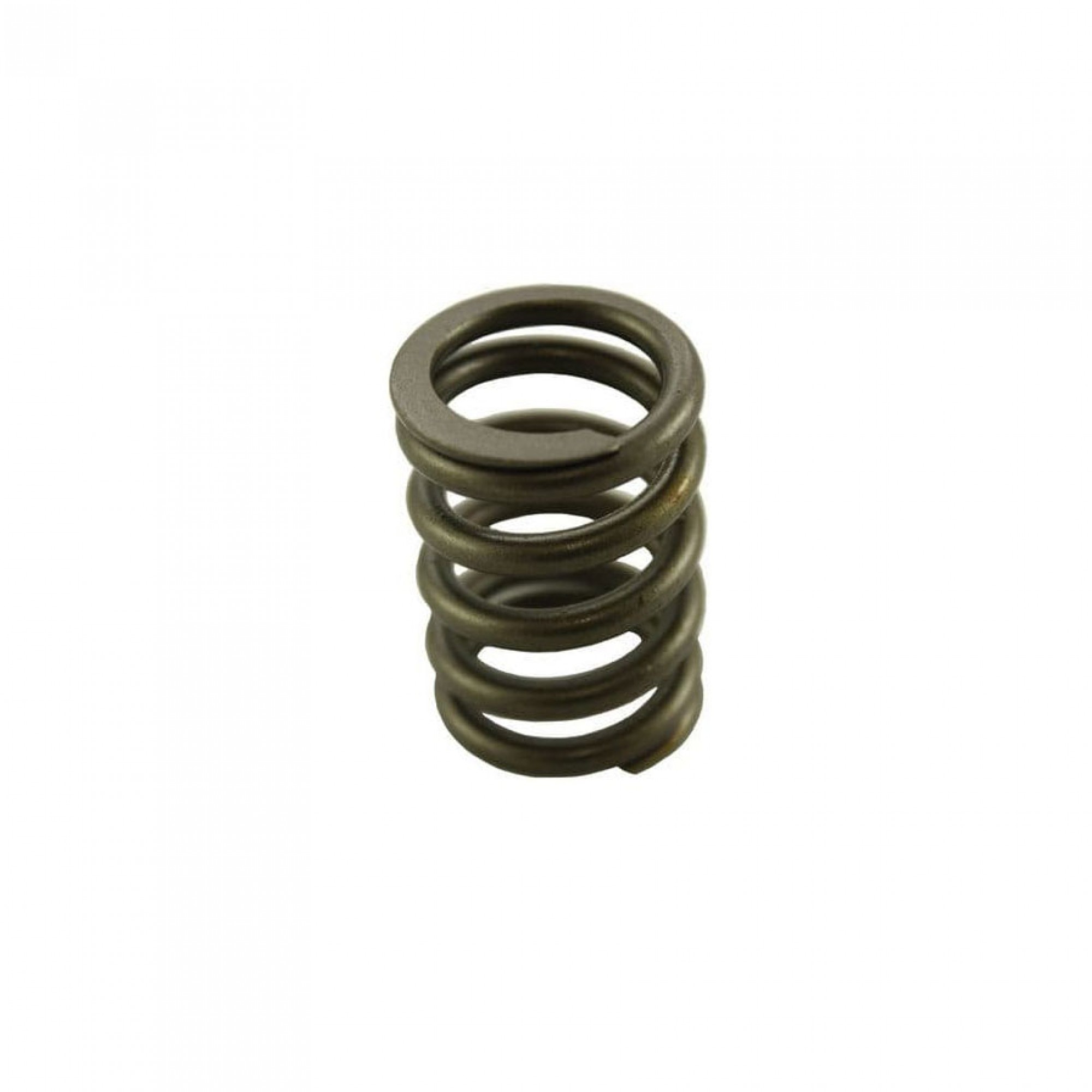 ERR4640 - Valve Spring 200/300TDI 2.5D Na. 2.5TD 2.25 Petrol Diesel and 2 Litre Diesel