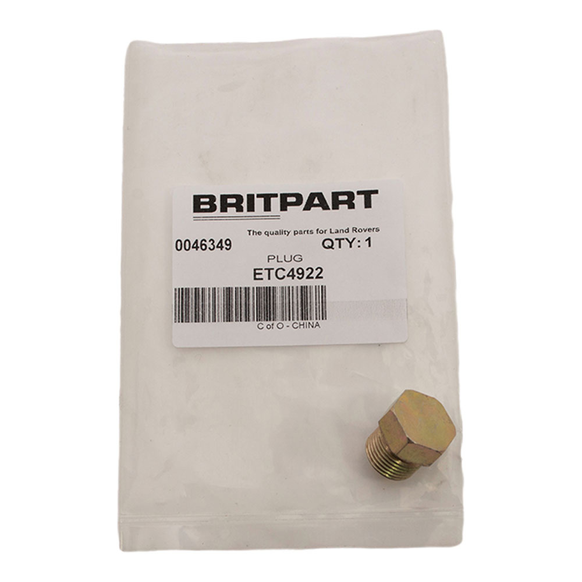 ETC4922 - Threaded Plug Oil Gallery Pipe 200/300TDI and 2.5 Petrol