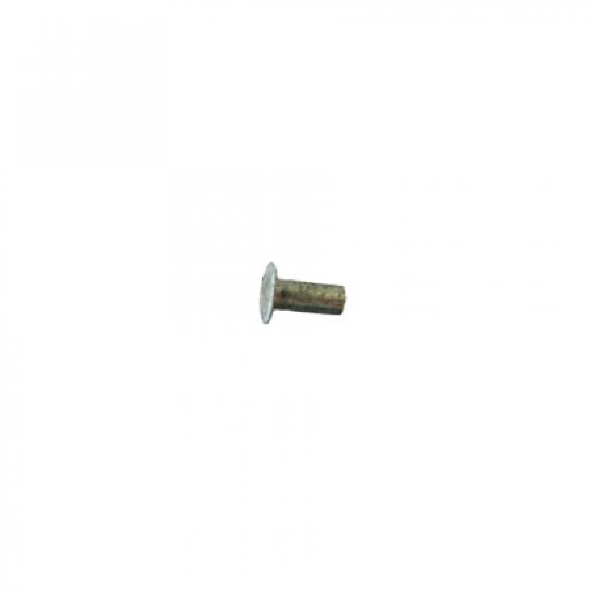 RT612283 - Rivet