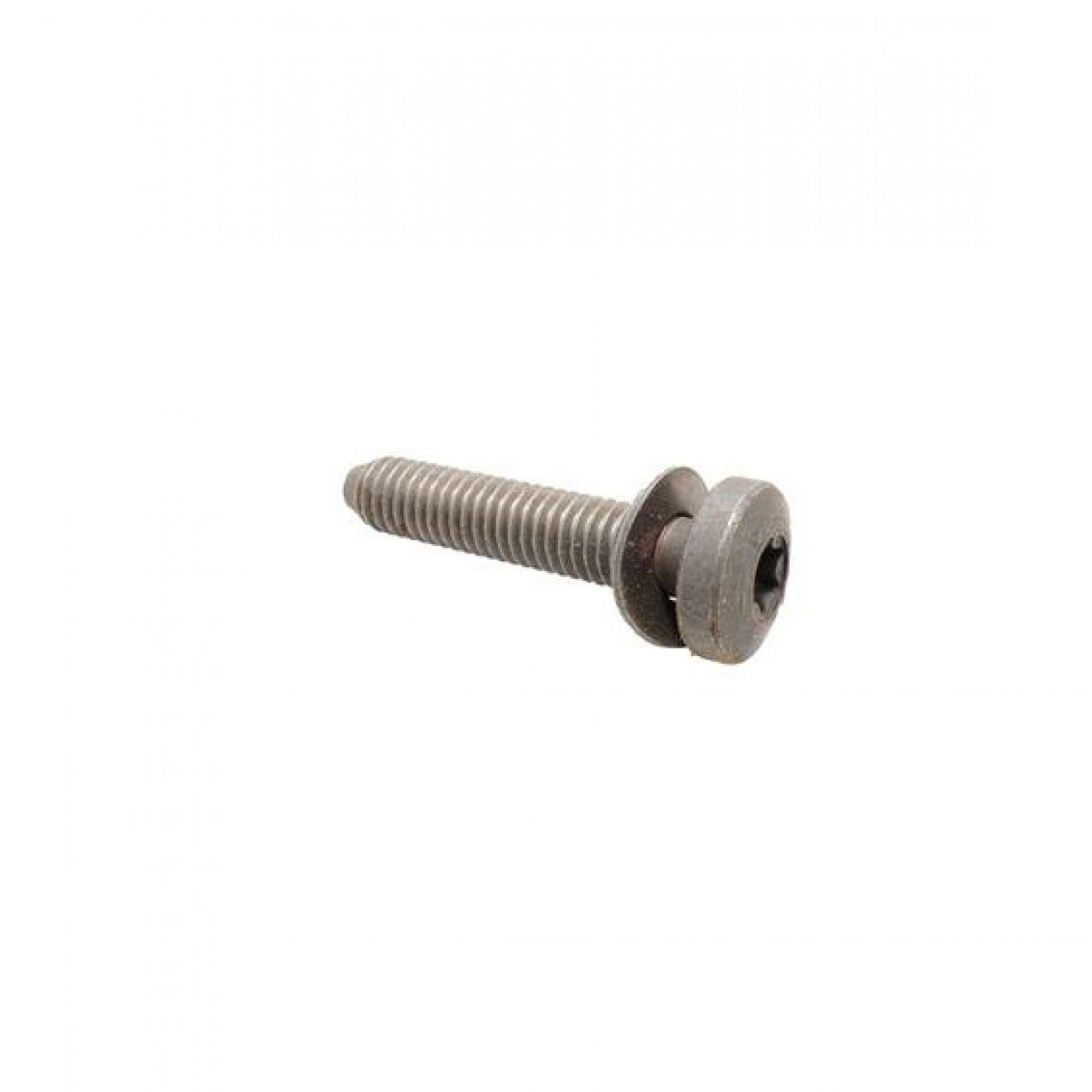 RTC4279 - Screw 30mm Long