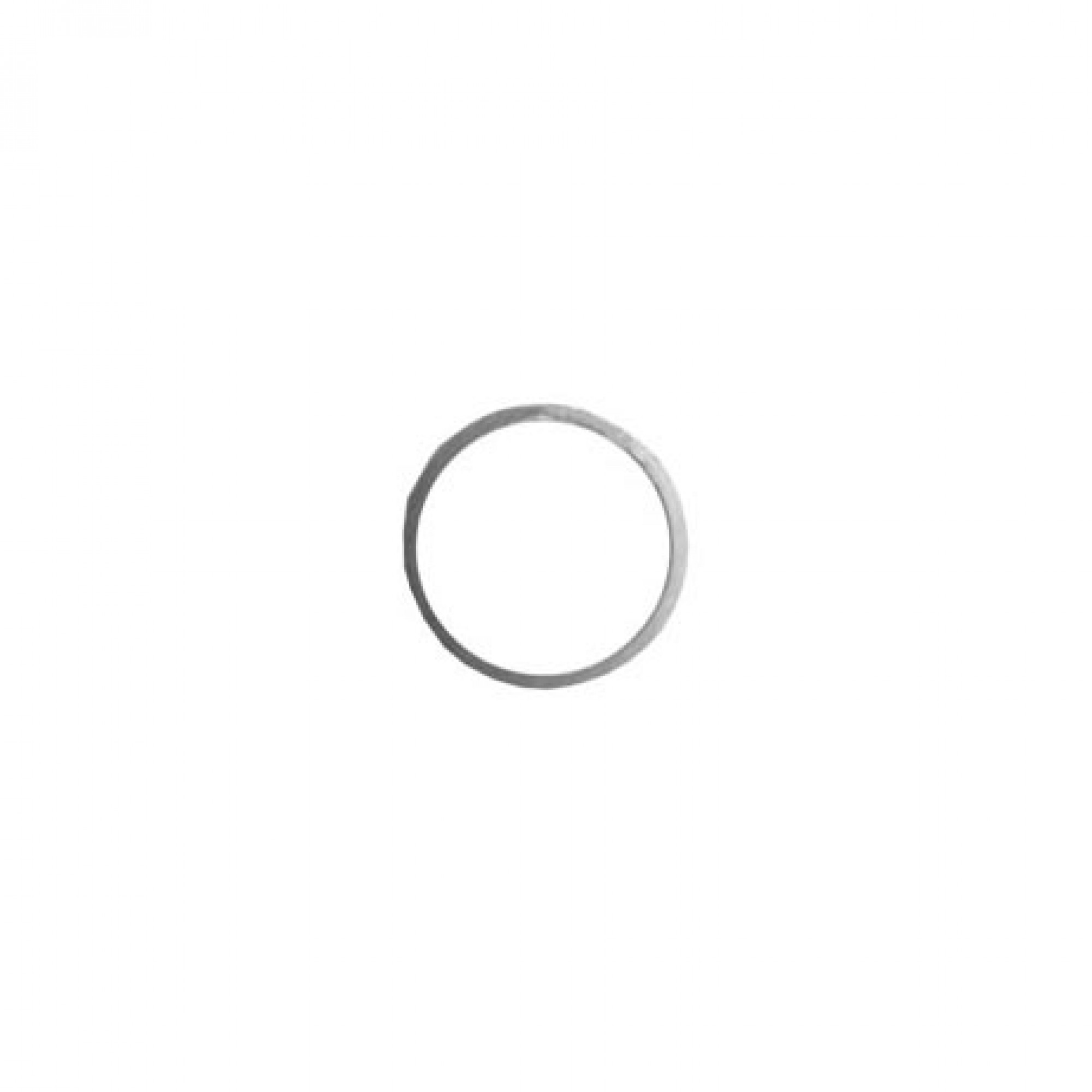 RTC4339 - Seal Ring on Intermediate Plate Zf Autobox