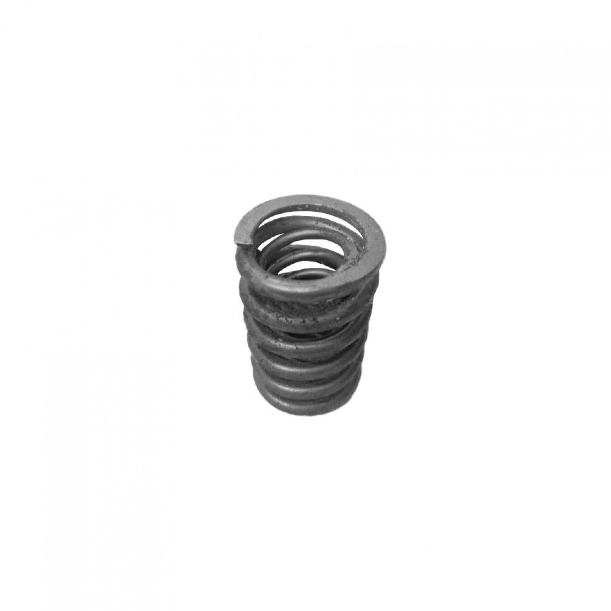 535989 - Valve Spring Inlet 2.6 Litre.
