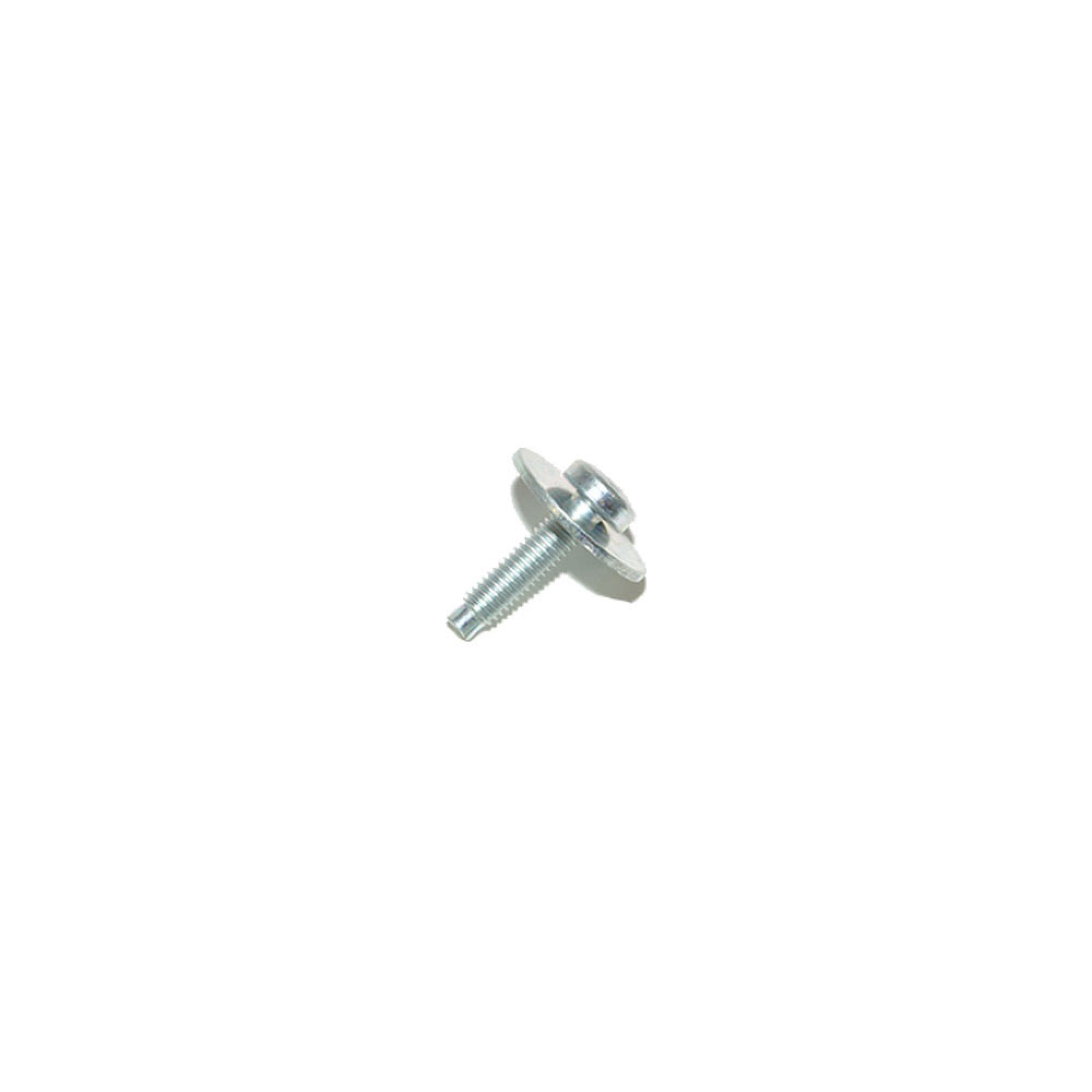 AYP500010 - Screw and Washer M6 x 20mm Various Applications