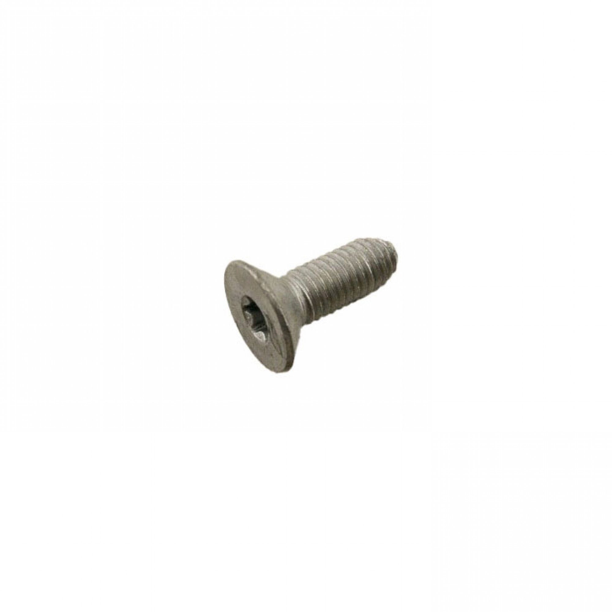 CYP100740 - Front/Rear Door Seal Torx Screw for Discovery 2