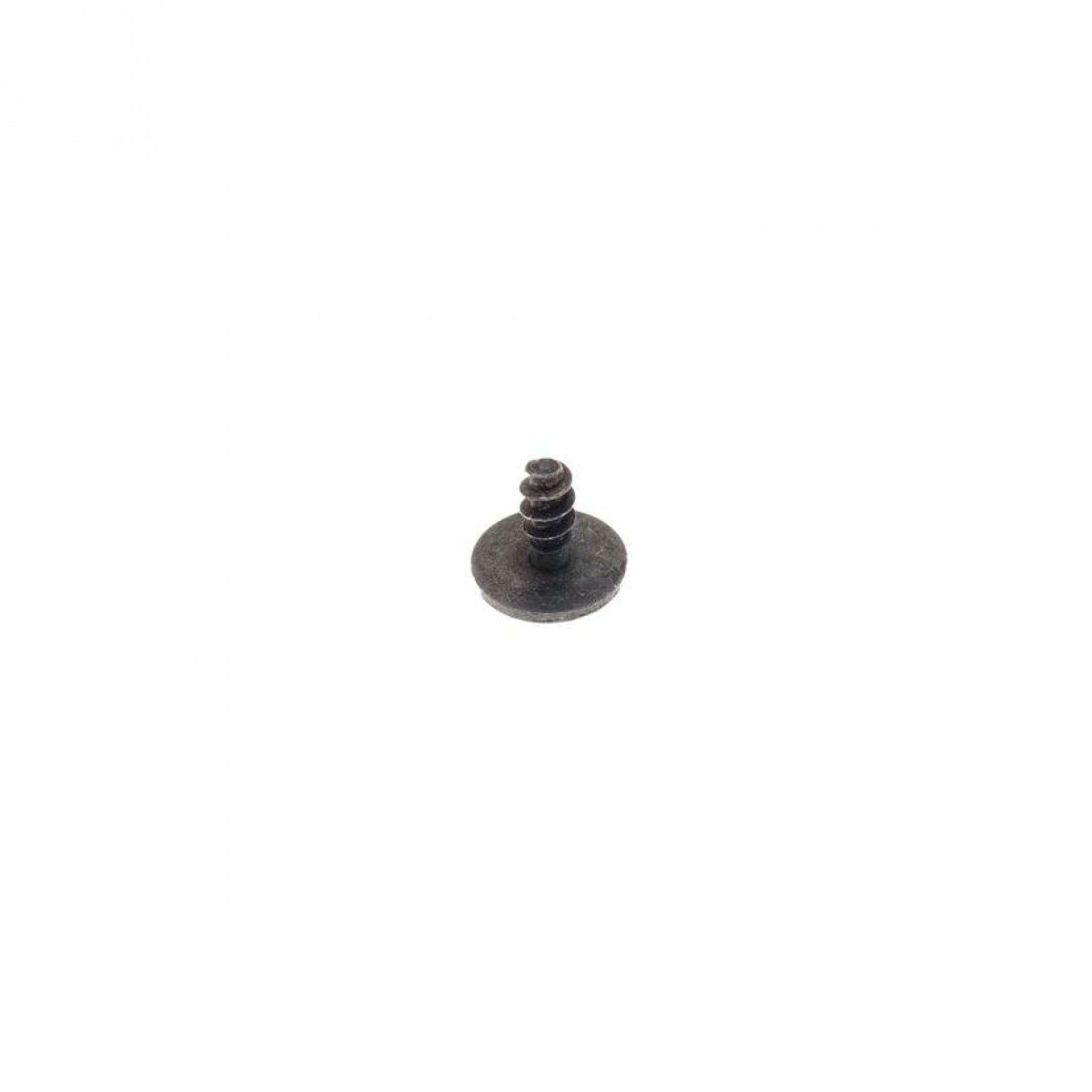 CYP500010 - Screw 4mm Torx Weatherstrip