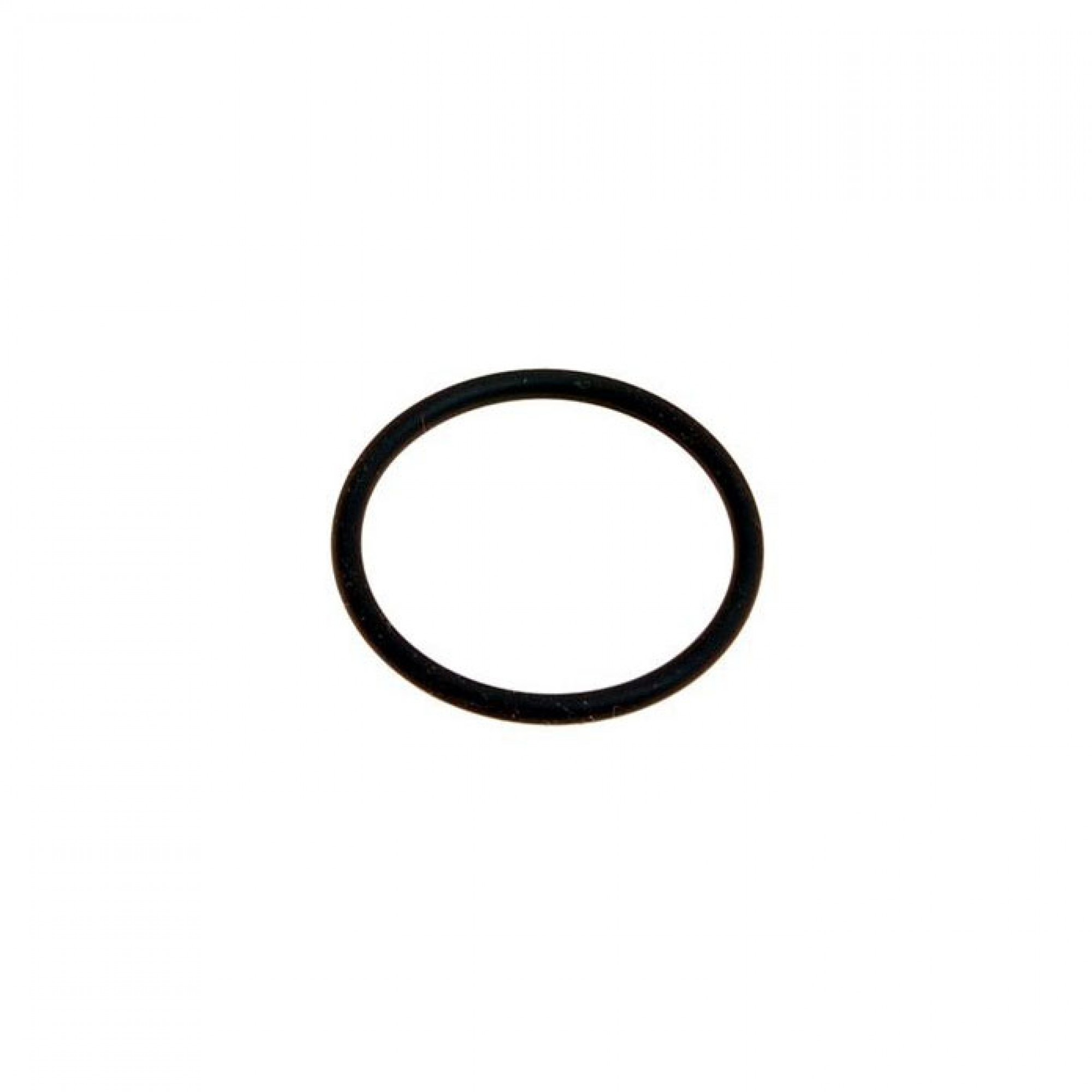 ERR5888 - Oil Adaptor Seal
