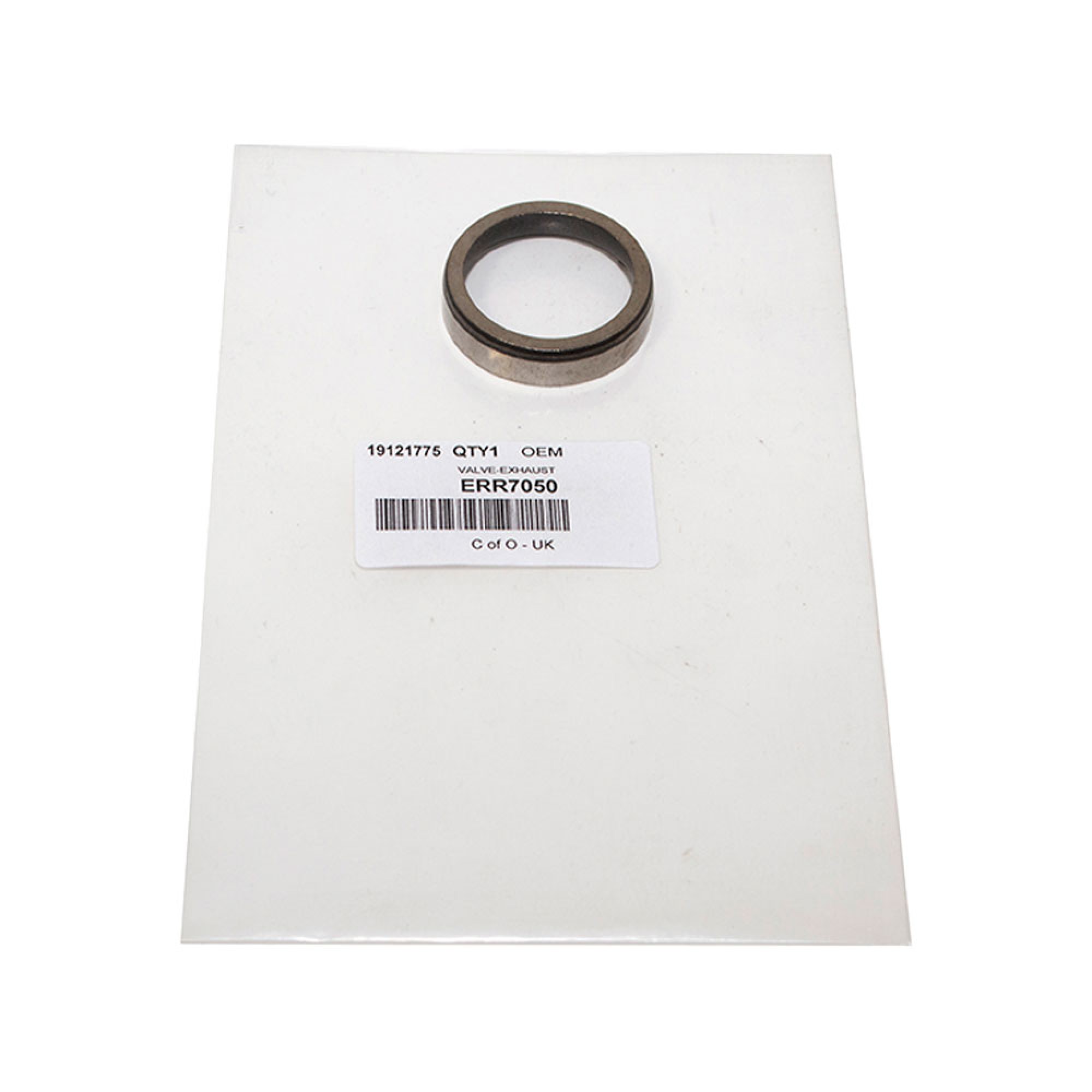 ERR7050 - Insert Exhaust Valve