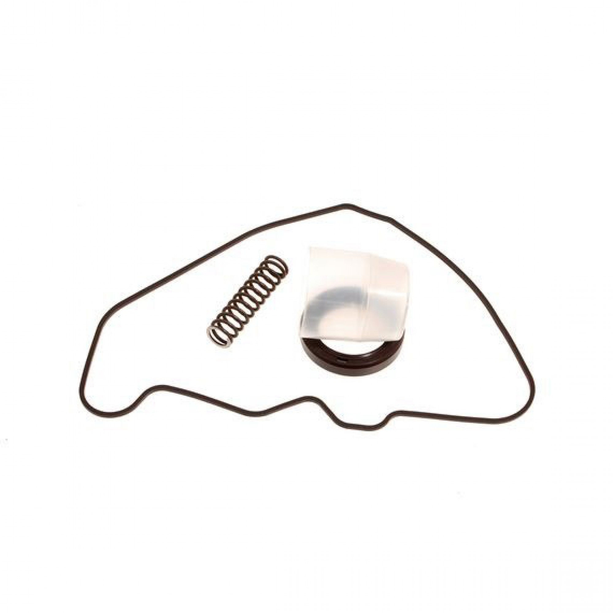 LQX100050L - Repair Kit Oil Pump 1.8 Petrol