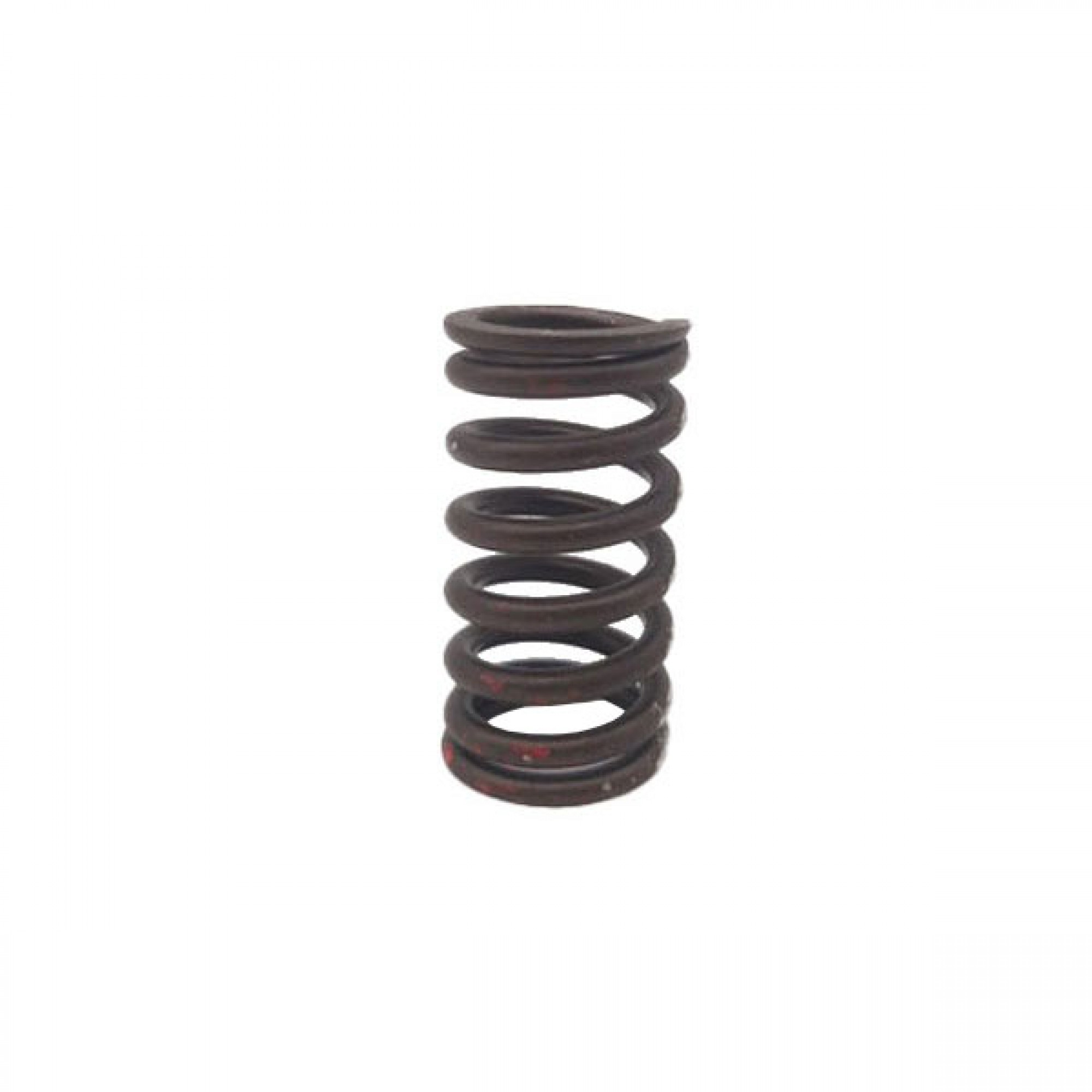 LGL100390L - Cylinder Head Valve Spring
