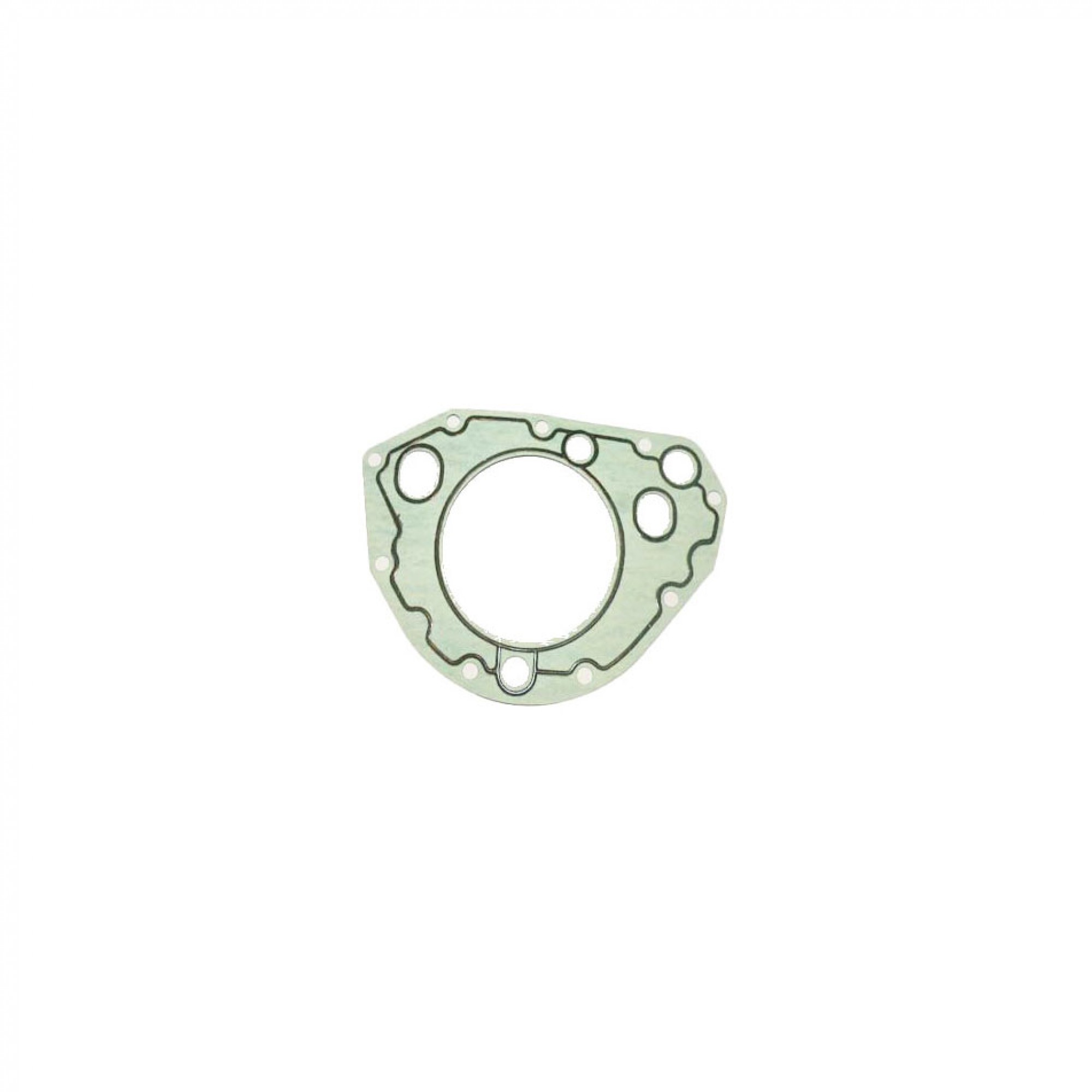 LVG100230 - Oil Pump Gasket 1.8