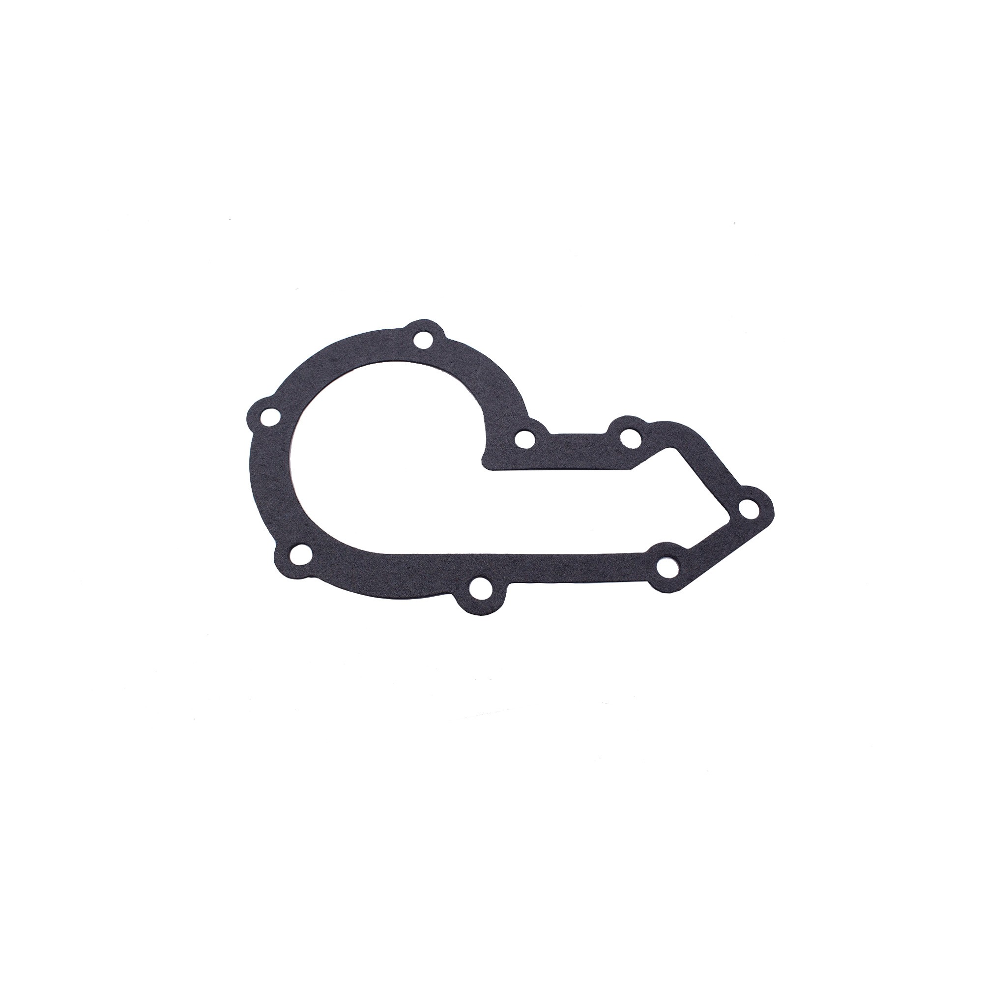 Water Pump Gasket 300 TDI - ERR3284