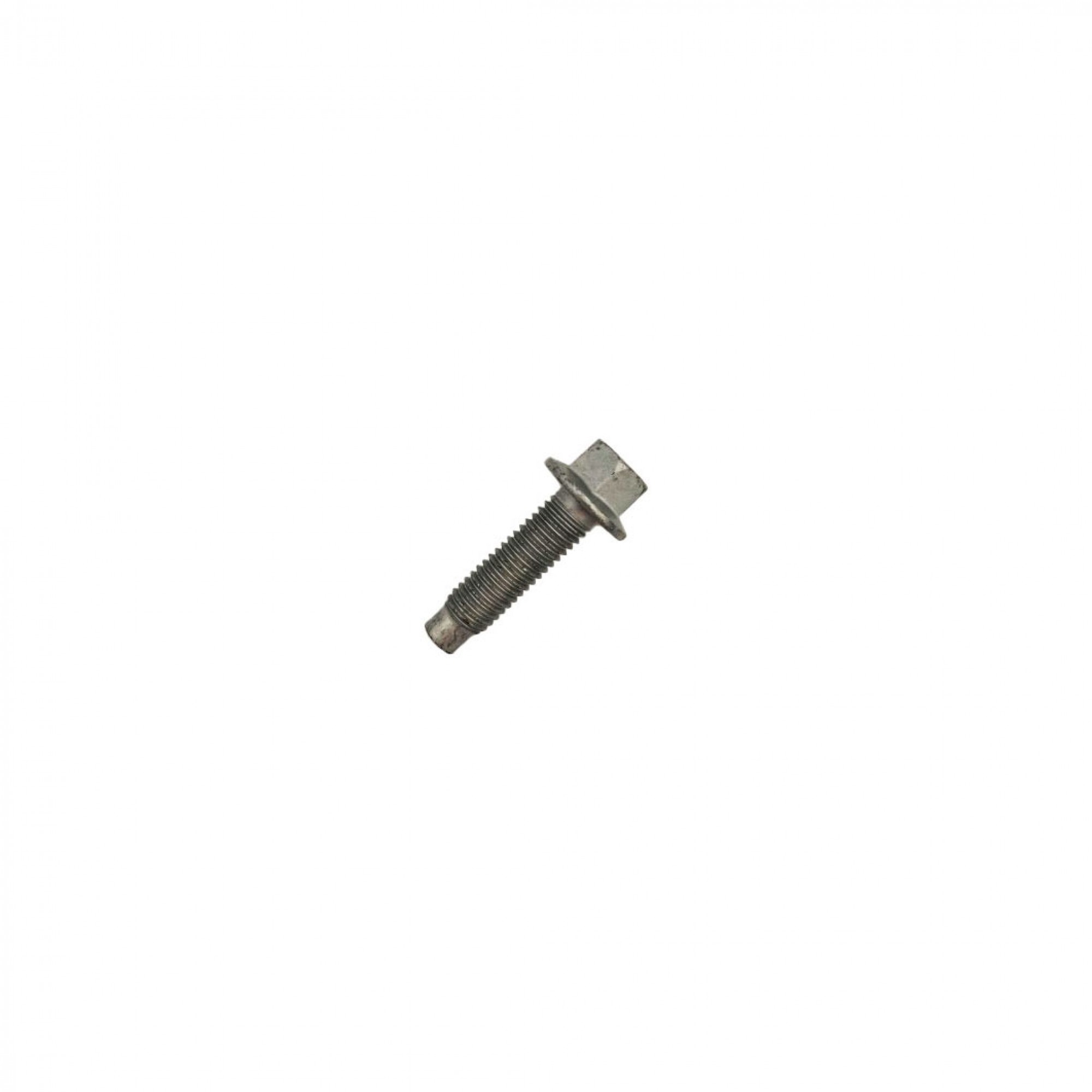 RYG500460 - Genuine M8 x 25 mm Screw