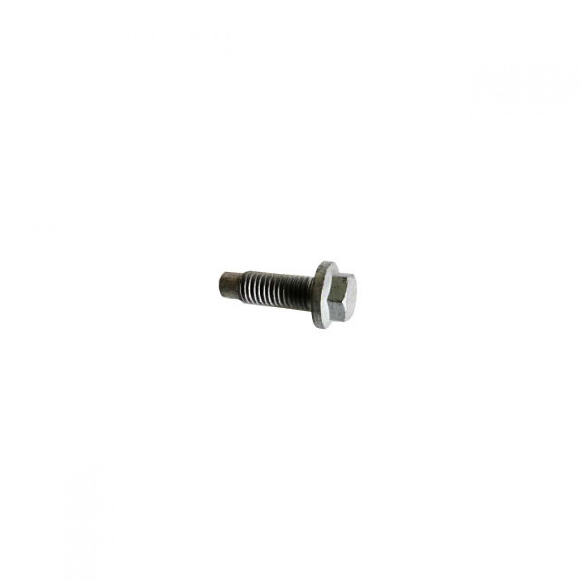 RYG500470 - Genuine Bolt M10 x 25mm Various Applications