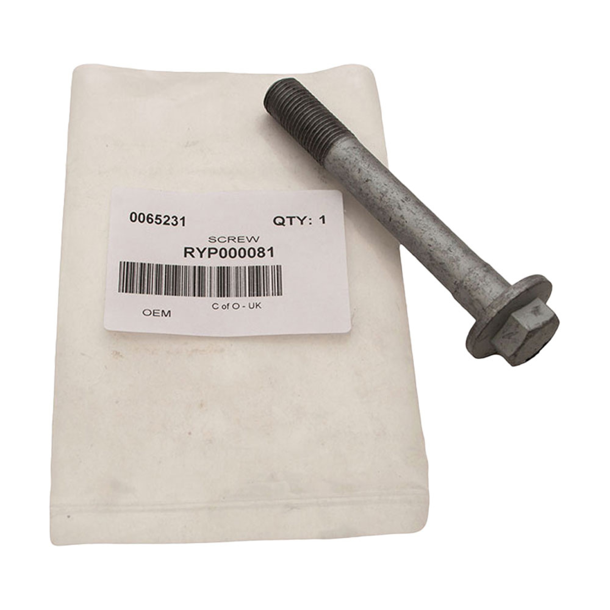 RYP000081 - OEM Bolt m14x105mm