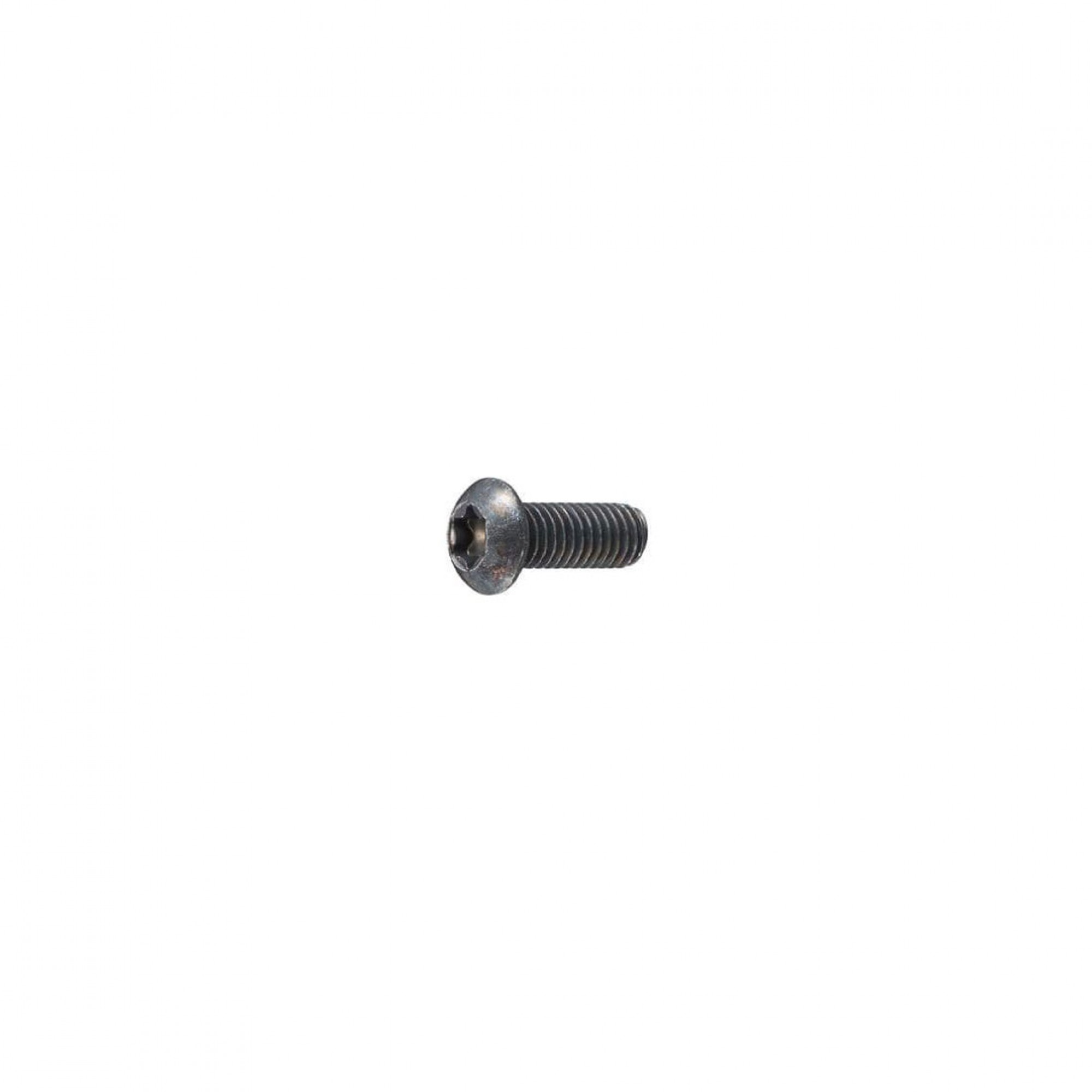 RYP500960 - Genuine Screw M6 x 16mm Torx