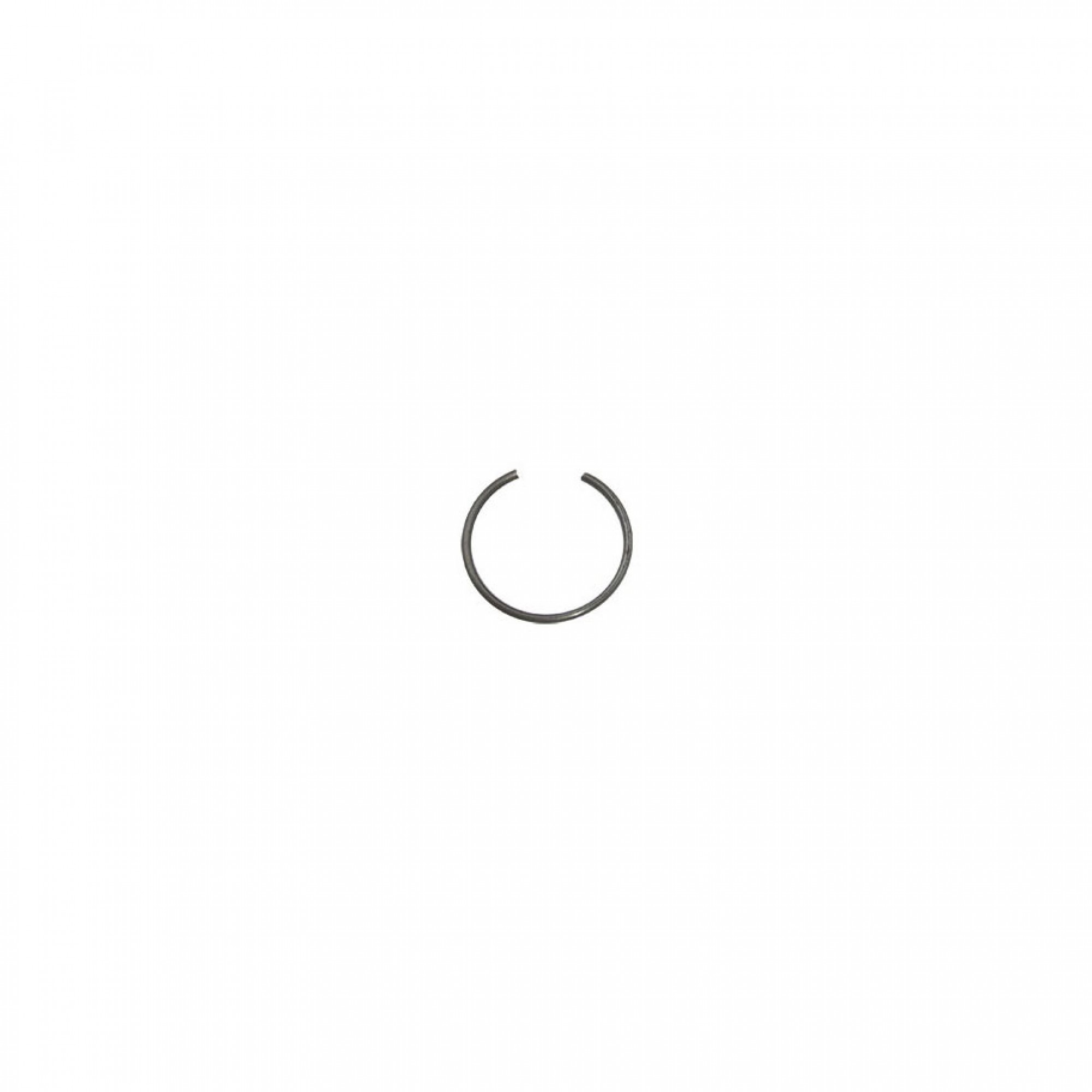 TDL100200 - Genuine Circlip Inner Rear Half Shaft